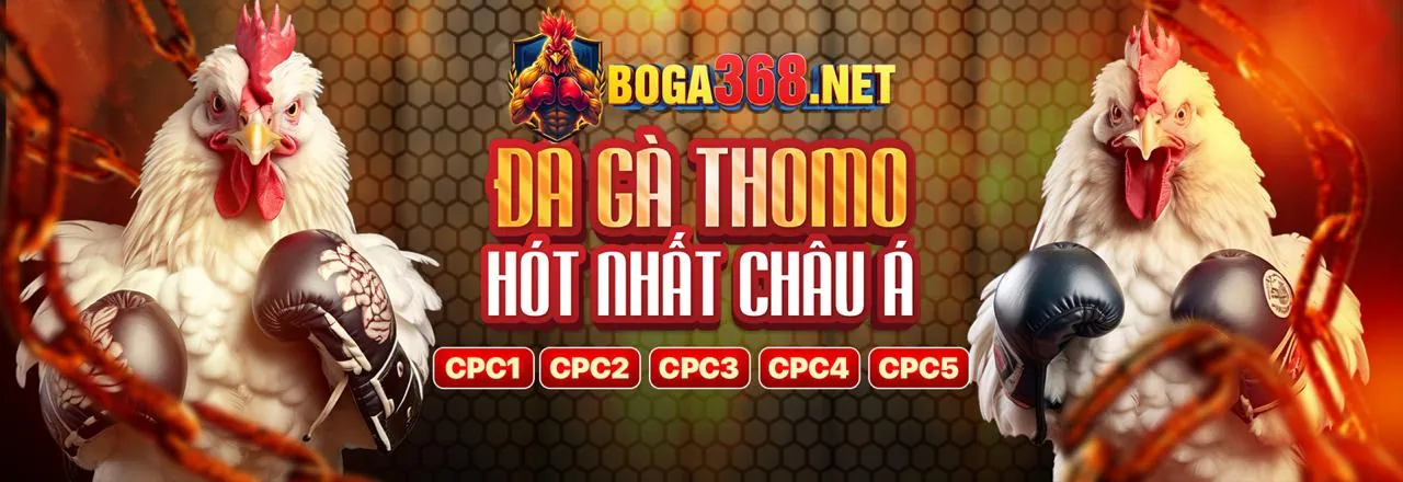 Các kênh liên hệ của may88